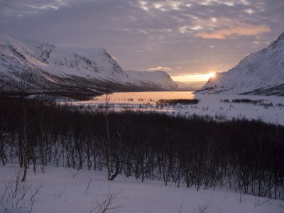 Schwedens Weite im Abendkleid