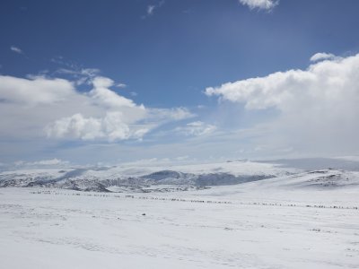 Skarverennet Naturhöhepunkte