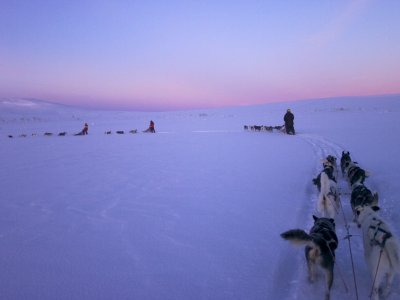 Abendtour durch schwedische Hochfjell