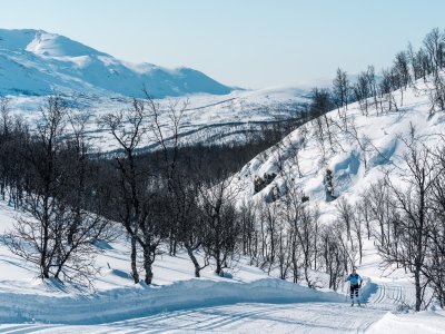 You just have to find your own rythm !