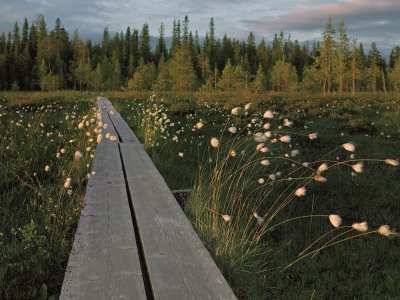 Le paradis des randonneurs !