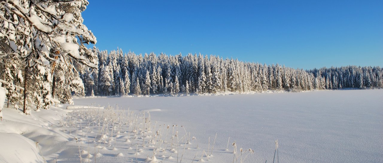 Le parc National de Hossa !