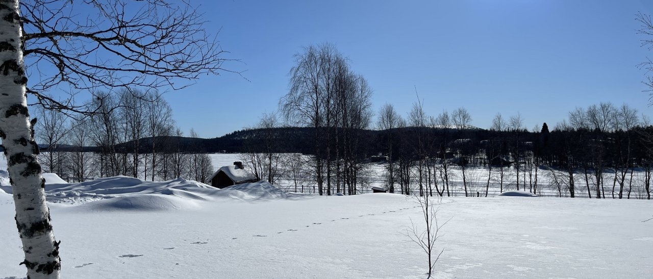 Ausblick auf den Särki-See 
