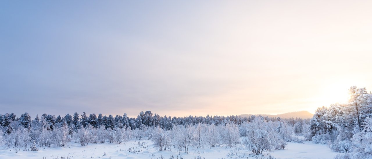 Am Randes des Kekkonen Nationalparks