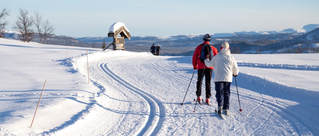 Le rêve norvégien du ski de fond