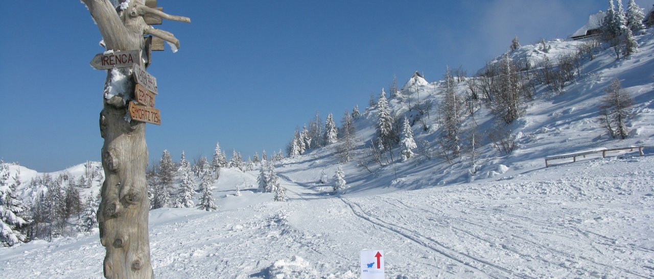 L'orientamento dall'albero...
