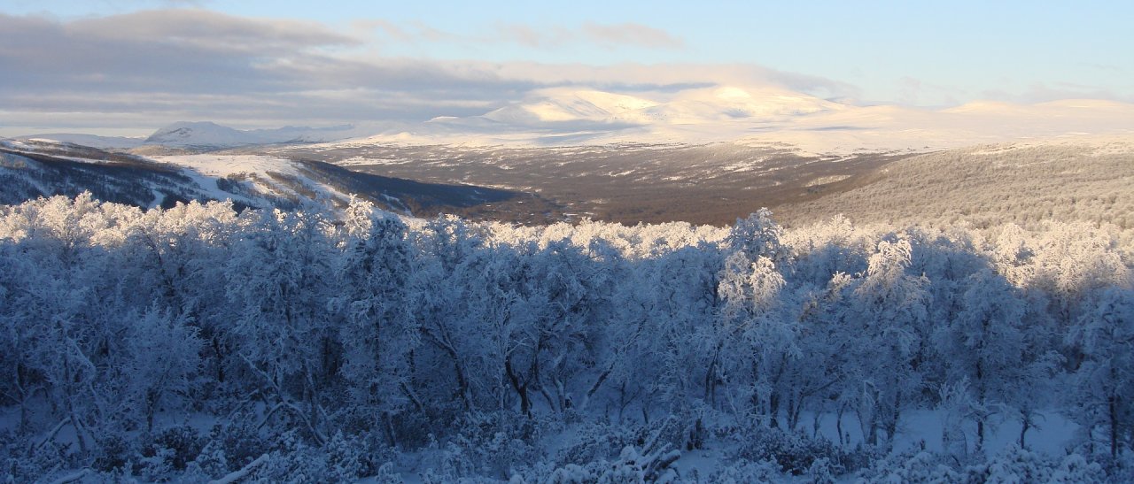 Winterzauber in Schwedens Hügellandschaft