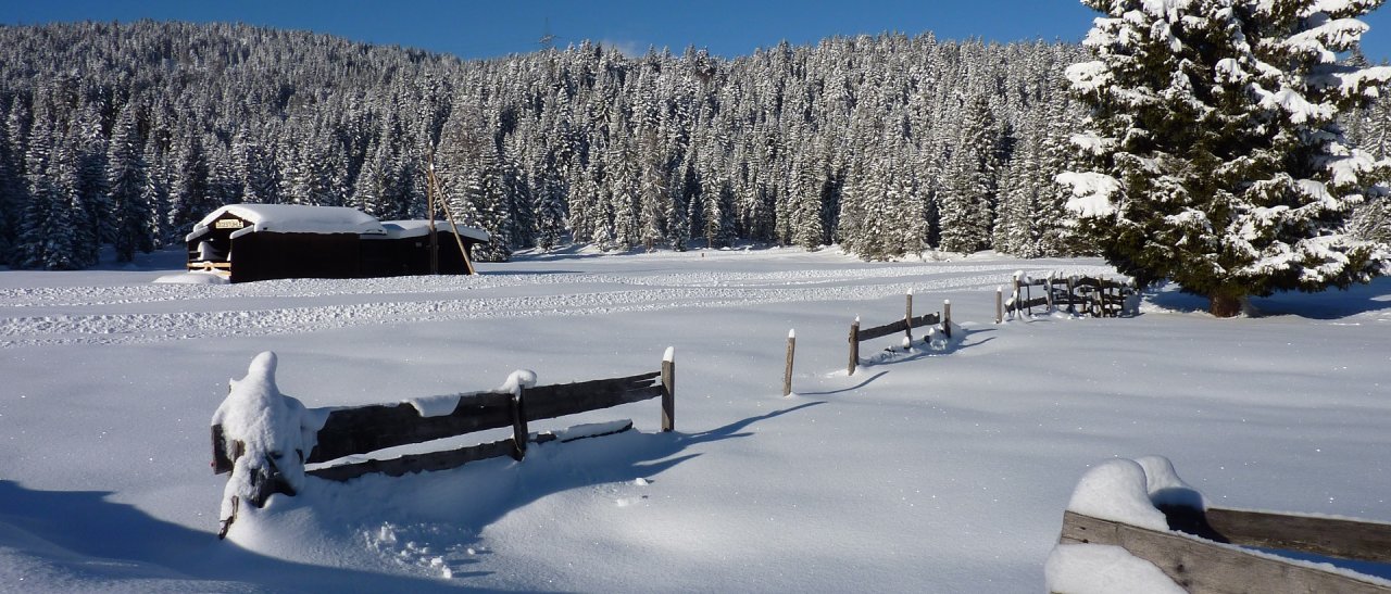 Paysage hivernal au lac Moserer et Wildmoos