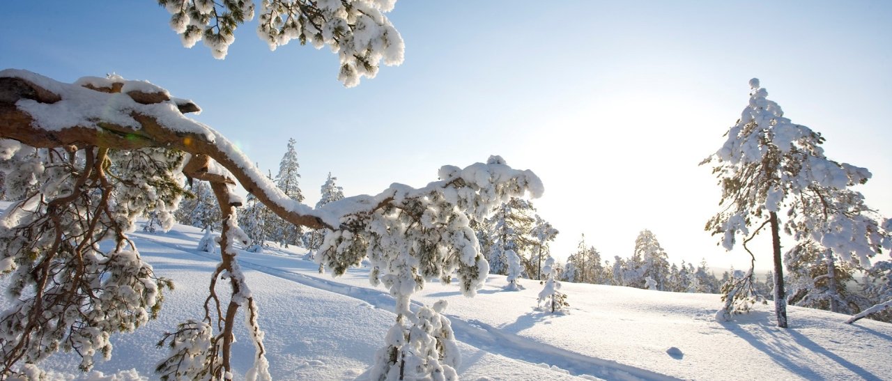 Un paesaggio presso Rovaniemi