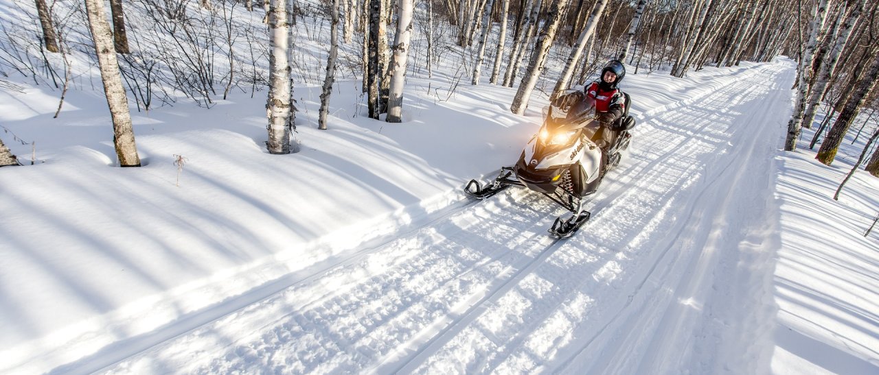 Mit dem Ski-doo durch den Birkenwald