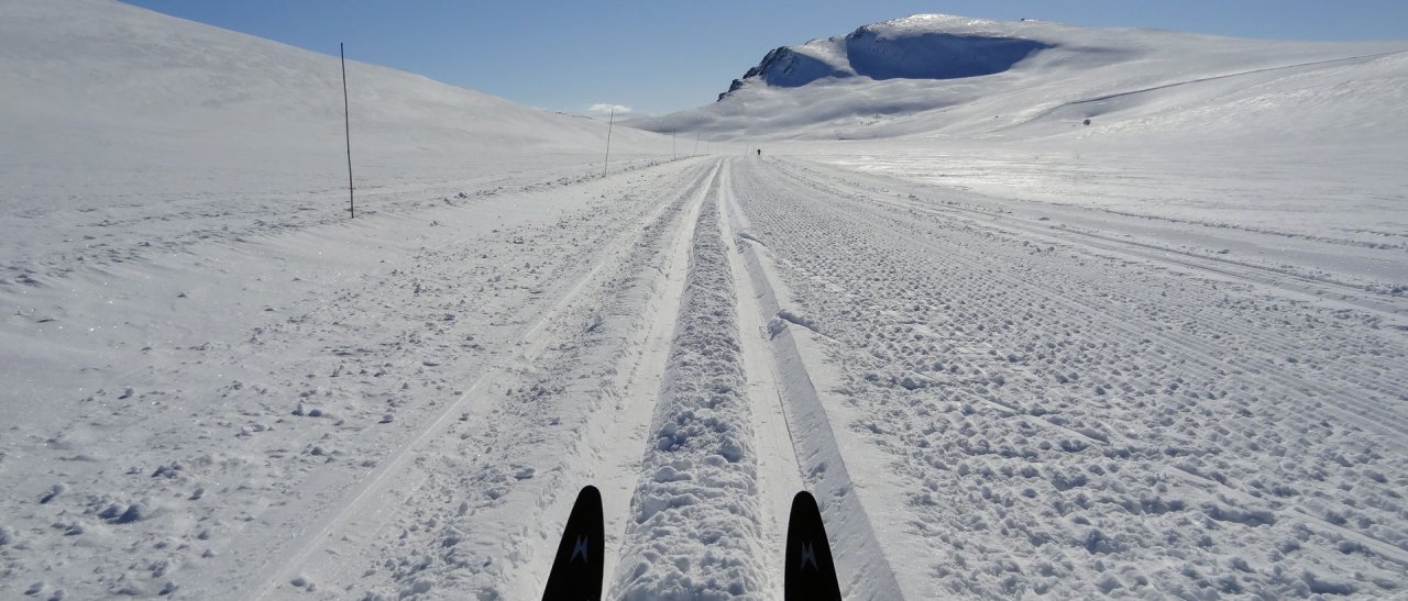 Vor der Skispitze endlose Weite