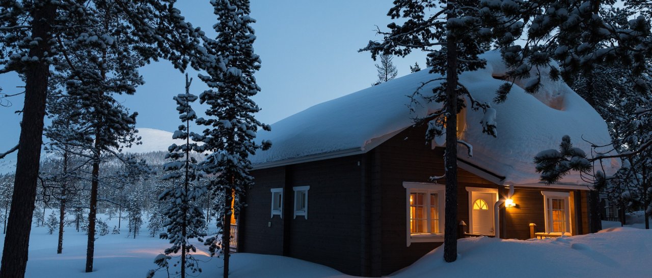 Hidden under the snow